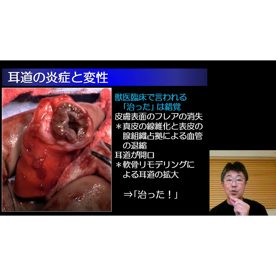 627c8dfebc8f3933a6ade0fe