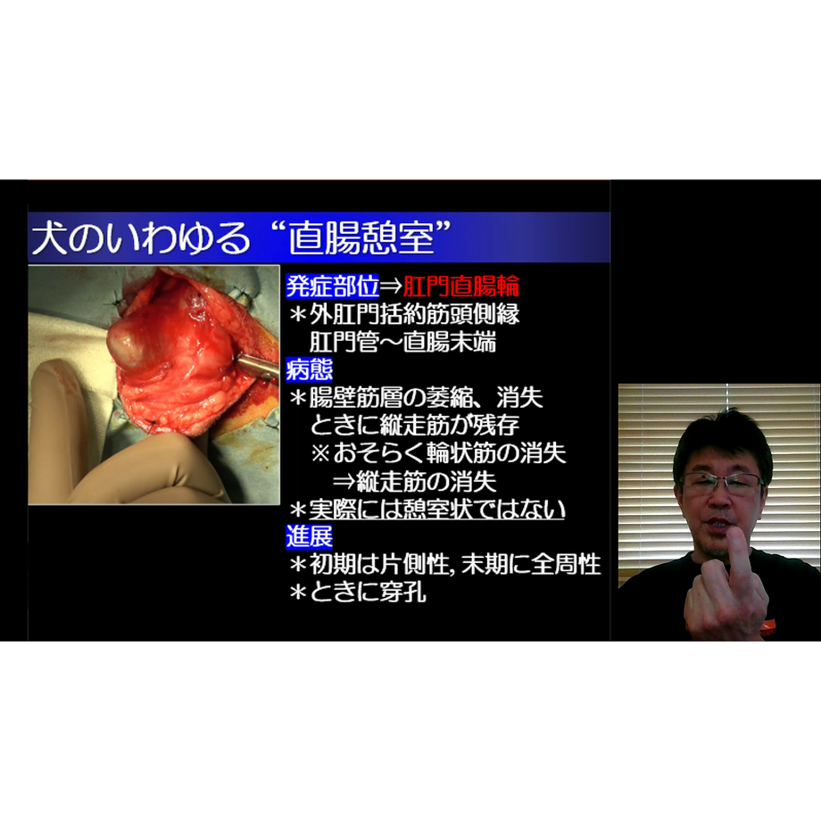 627c8ea5d175135ca6ae7e44