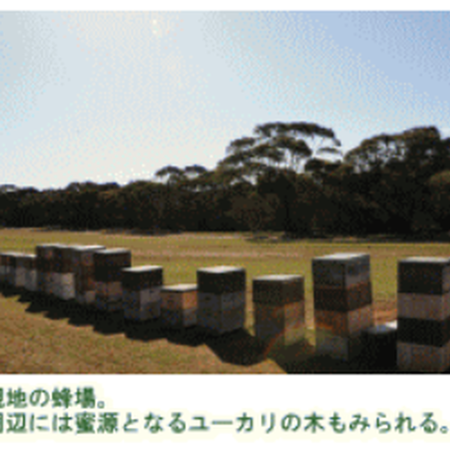 5b3b42de5496ff5053000361