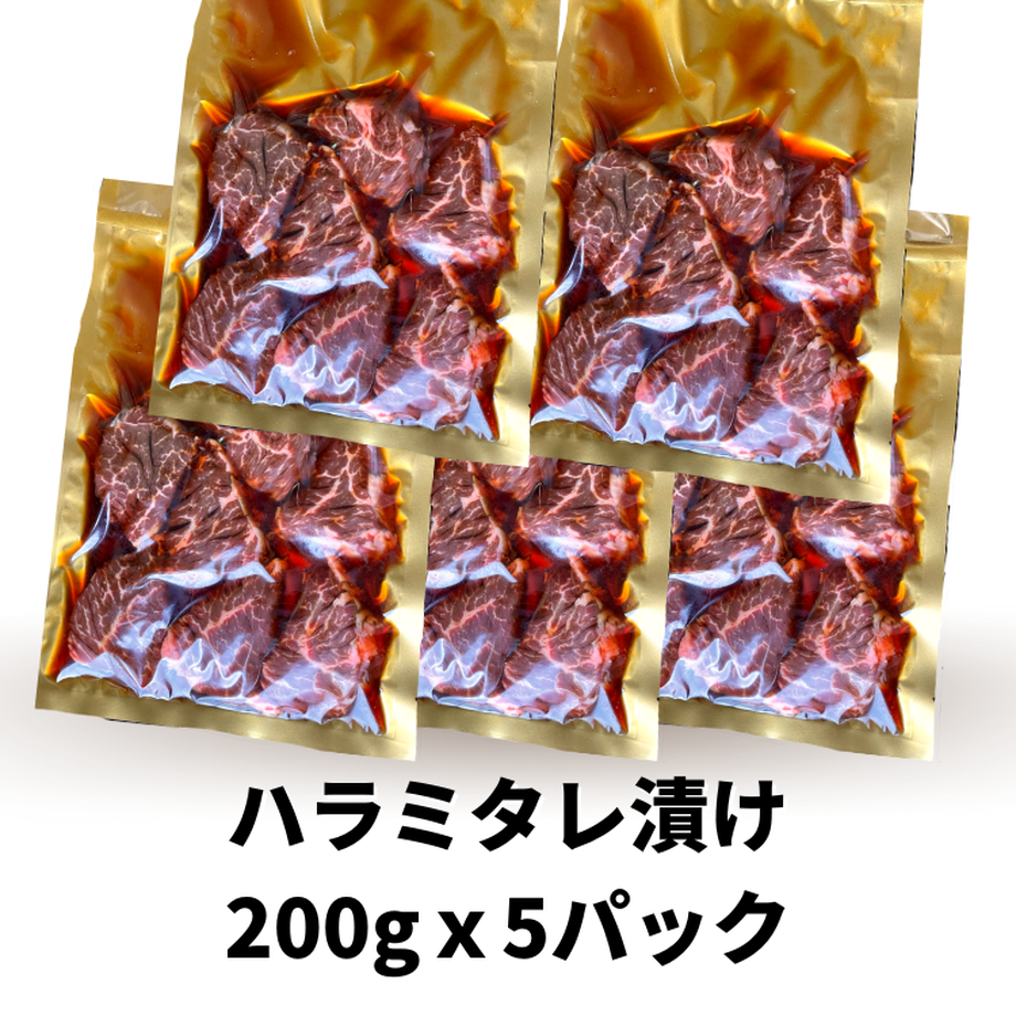 619915f7570f67051b00b466