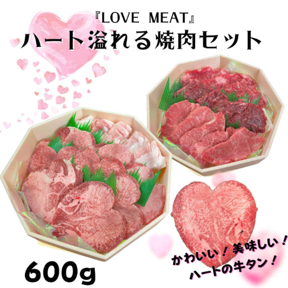 6103817fe494335d29588104