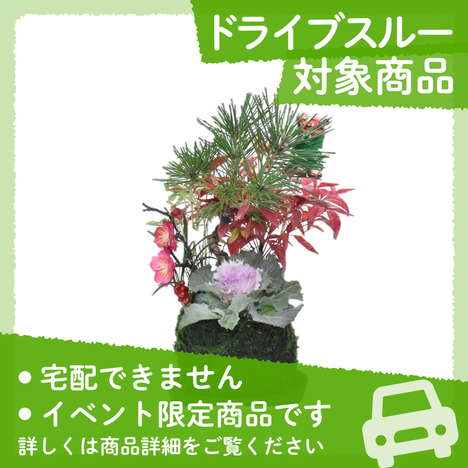 63776ef6bd5e4d4027a63ef8