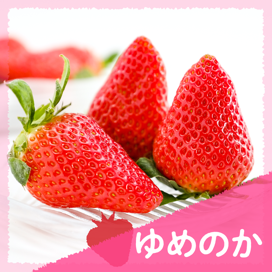 63abfcf6c1f8c55761d315a0