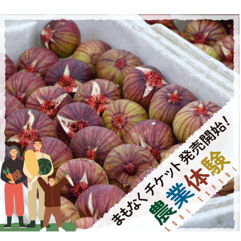 60aa1c349a5b7561836b495b