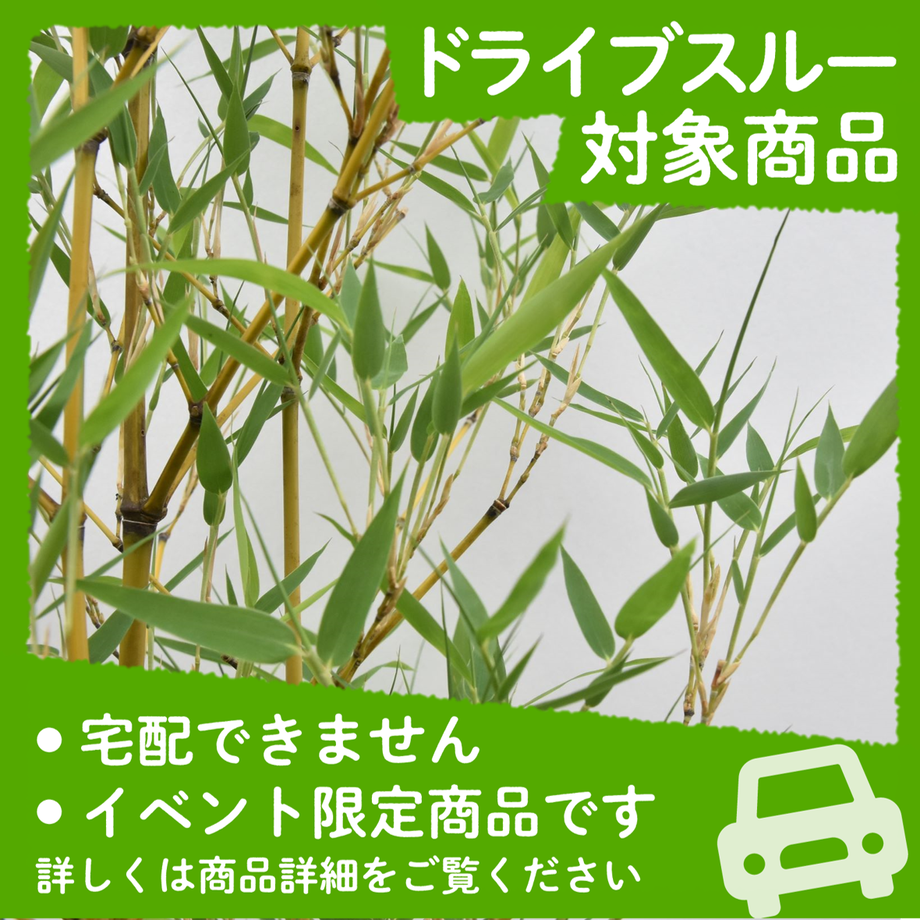 627f32f3404e91491733122c