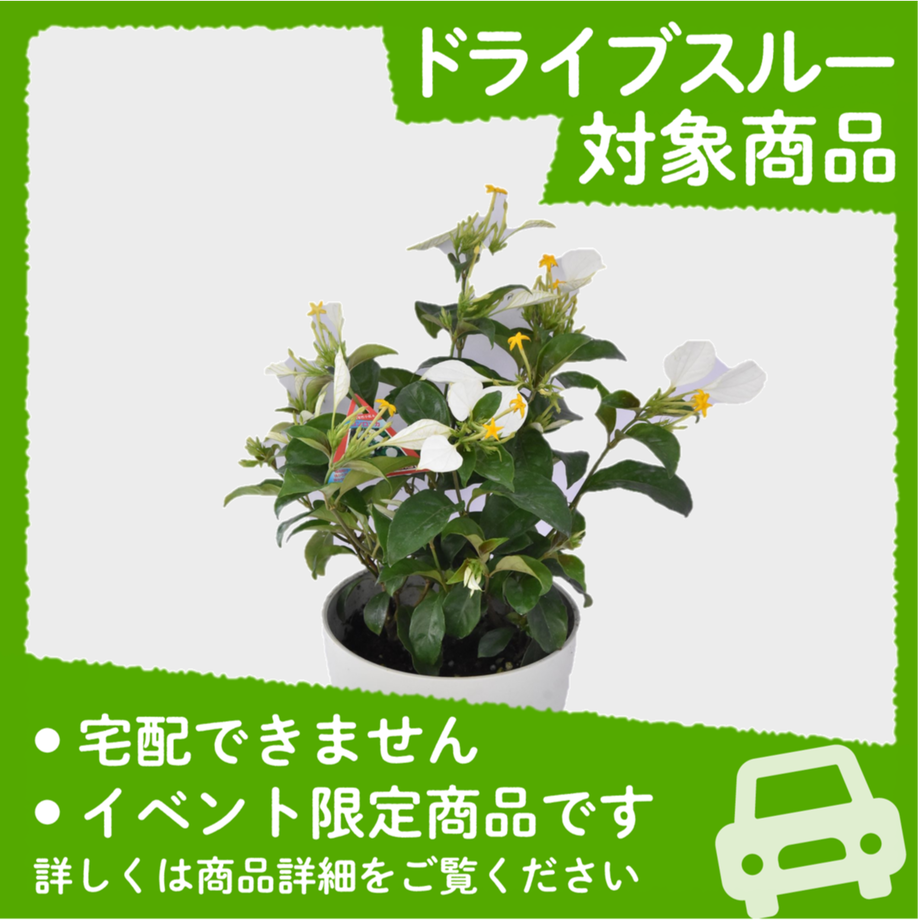 627f3b952772b978d3d5b08d