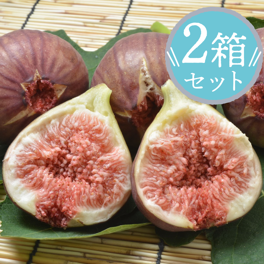 62e27af18691ec7c80ed54d3