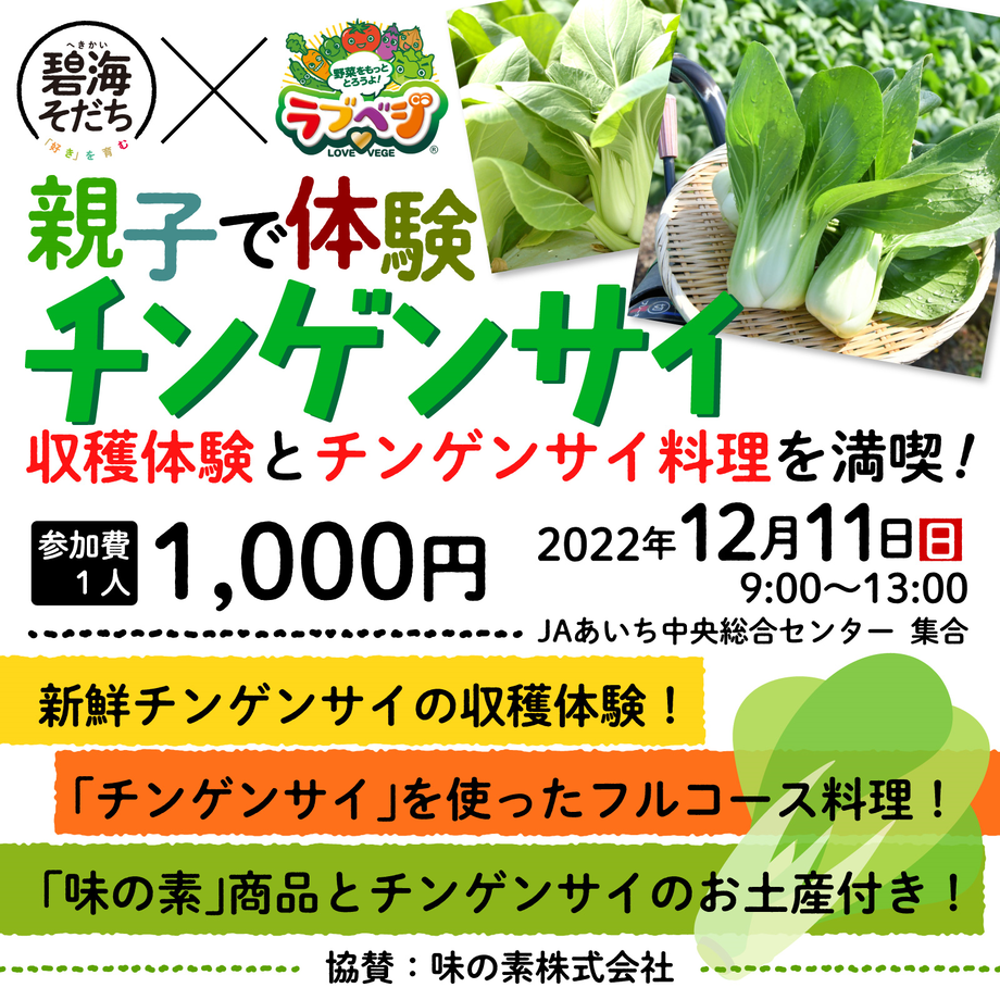 6382accbf519731550c1586b