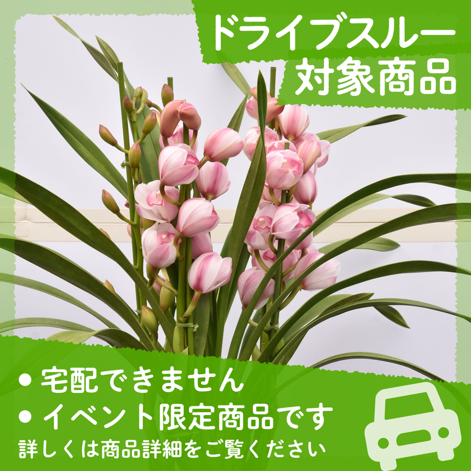 63775dbd4ff8c22af9f903cb