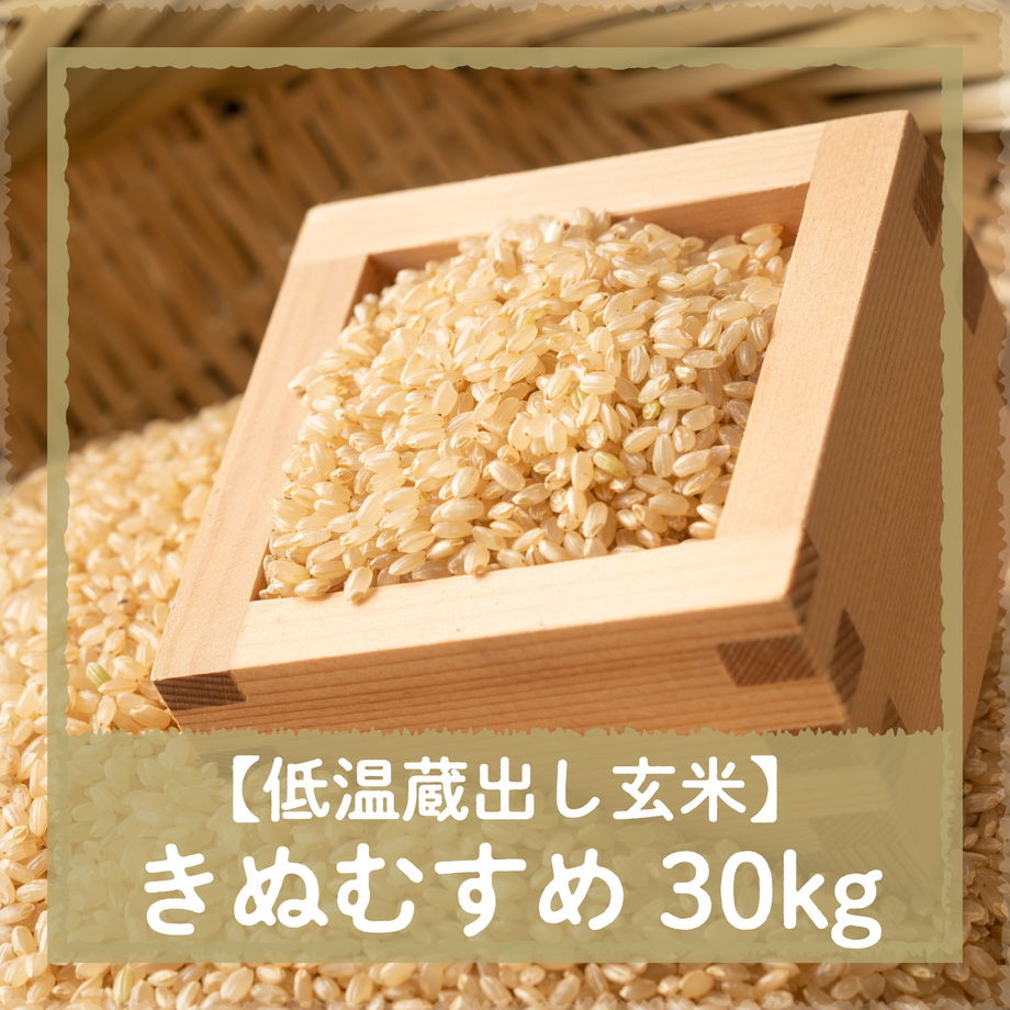 62dddc49e50c0b5e76b9ac1f