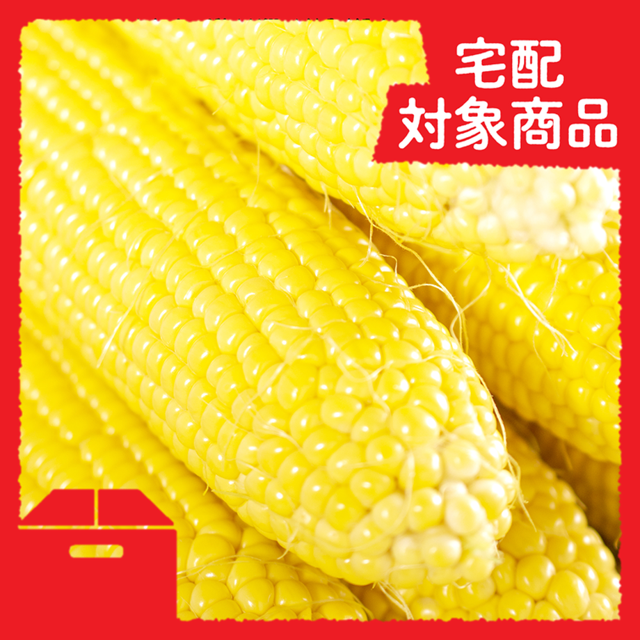 602216d0aaf04334d4894121