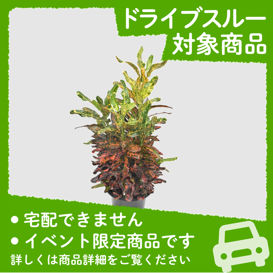 627f589a7d11612bbb015934