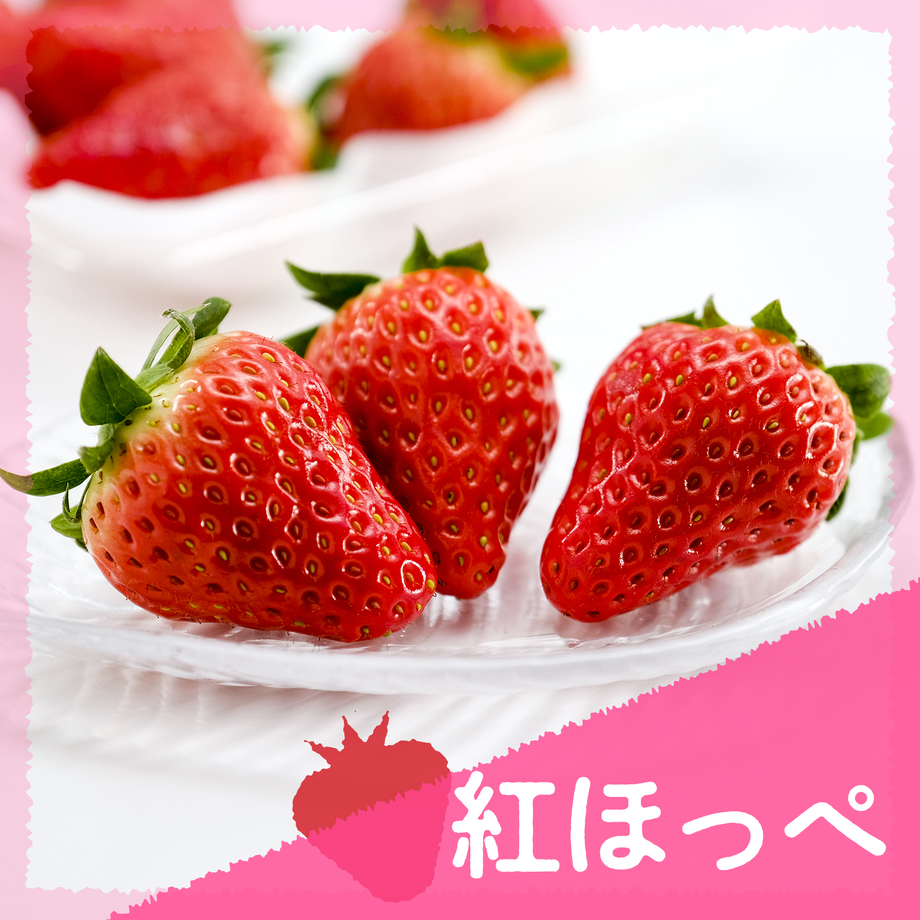 635f2c17f51973191056236d