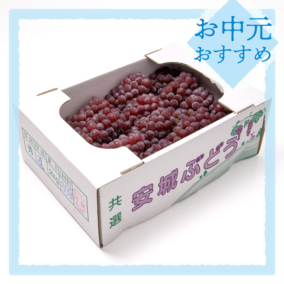 62c3e567d8587450c9c0ff04