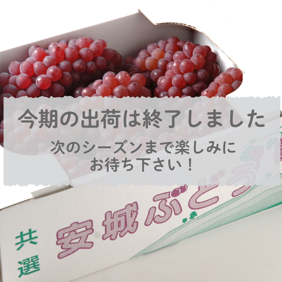 62c3e567d8587450c9c0ff04