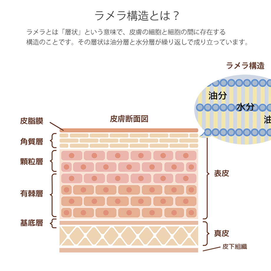 5cc1c22ea8945218ec72cbf8