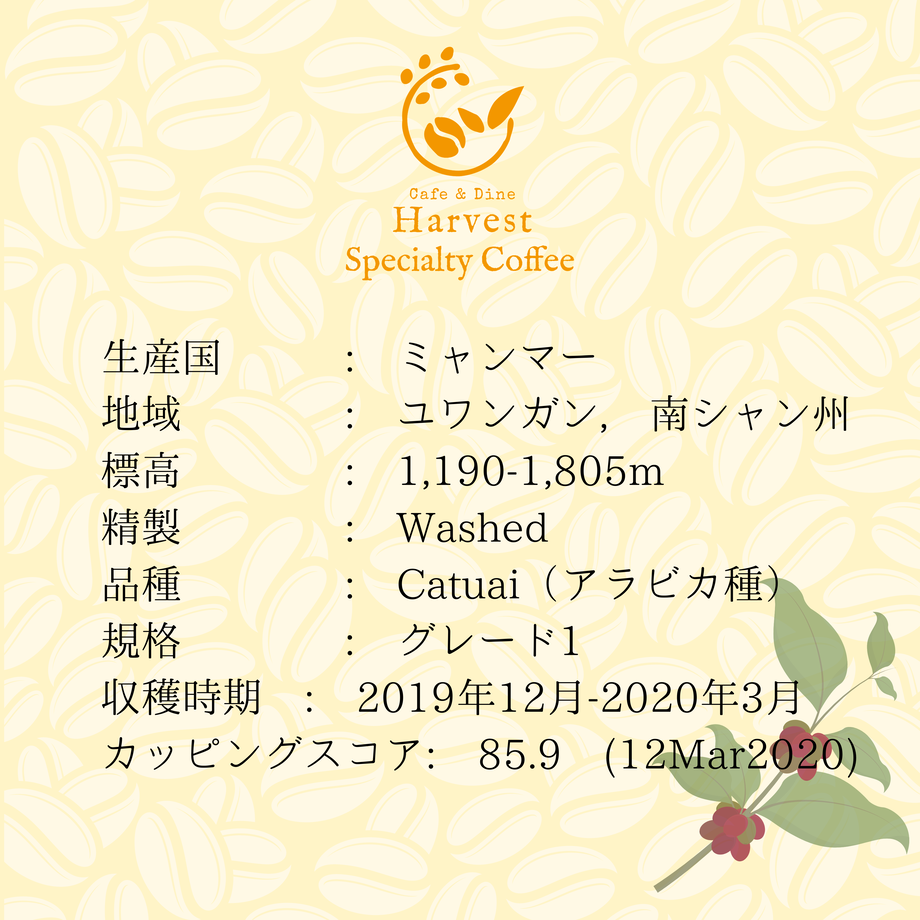 603cb6902438604b43aafdb4