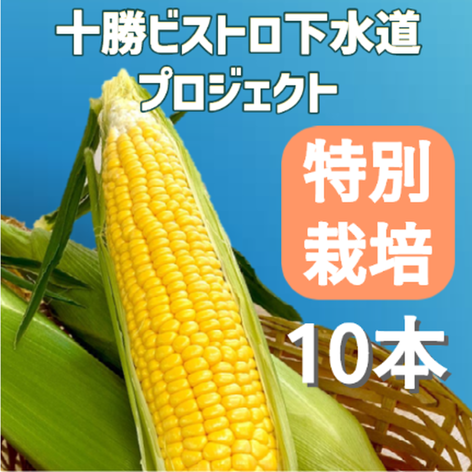 62df6b6c0f683c17127dcfaf