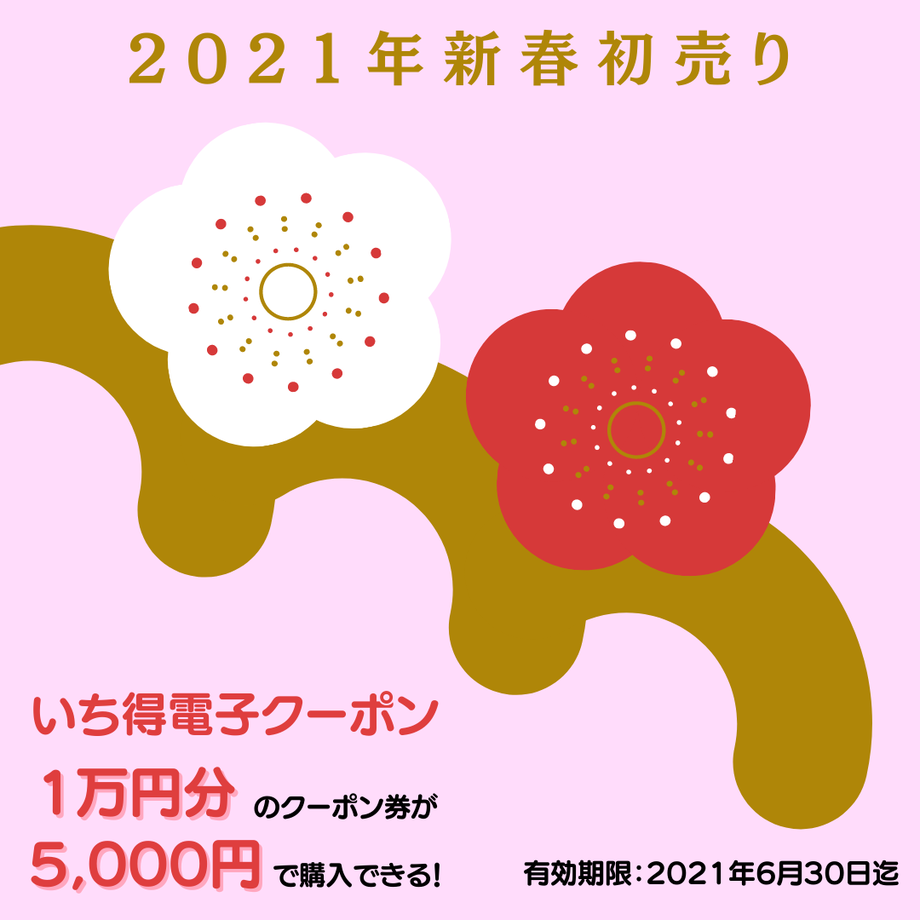 5fed1b9dda019c45dcb19b51