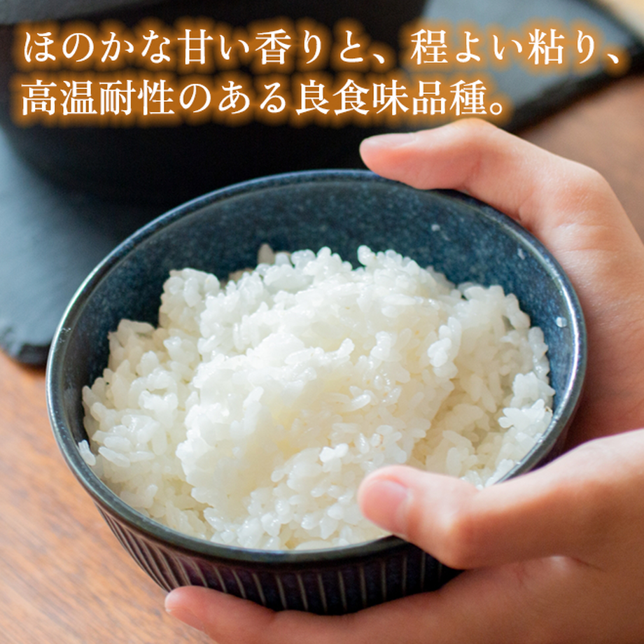 617fe1f1330378598ceb4ee2