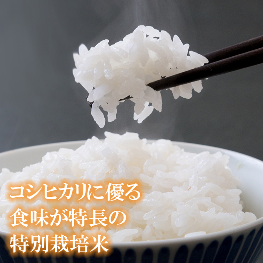 6121c205e494335bfc3ee5a8