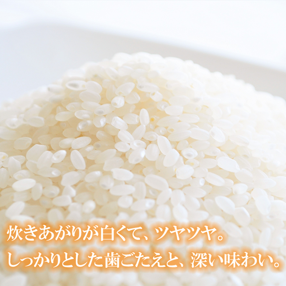 6121c205e494335bfc3ee5a8