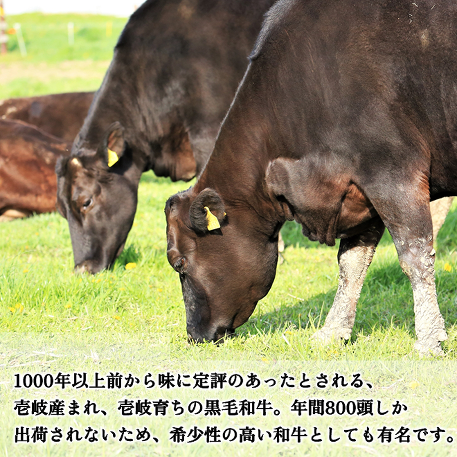 6121ec84e50c0b30324c50c2