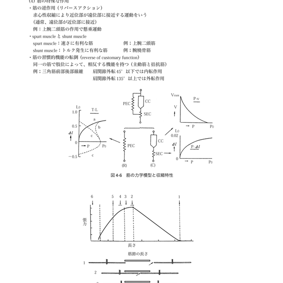 5b90e471e8db4137f3000058