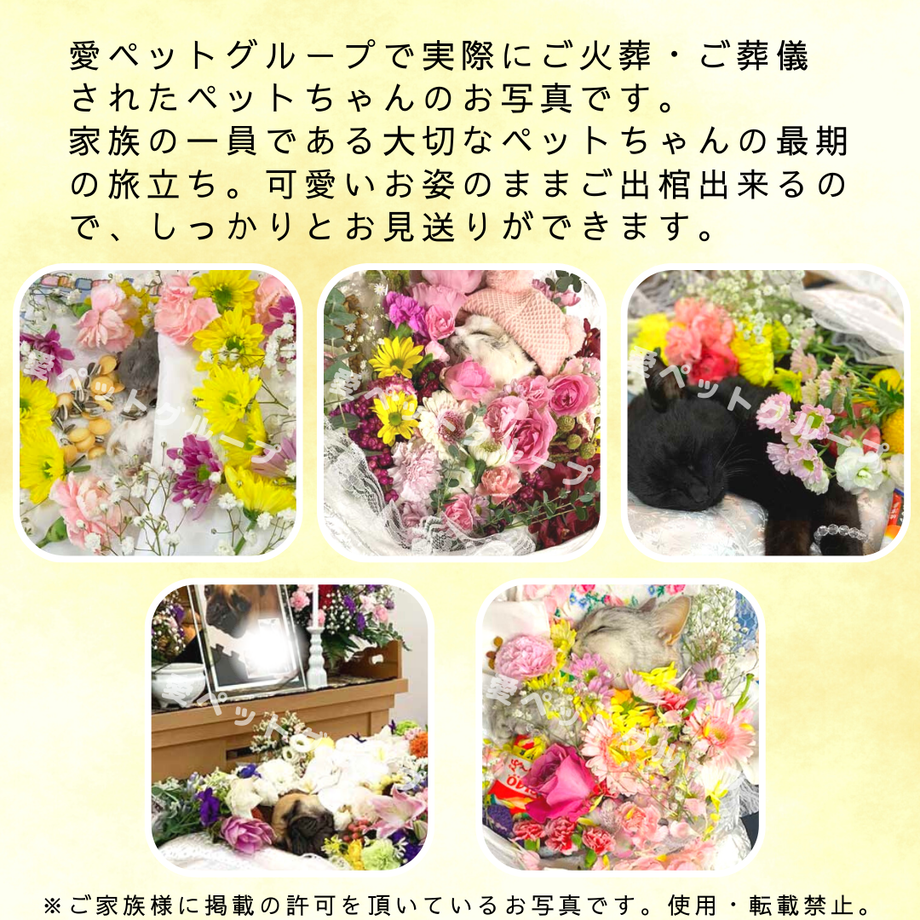 600002ba72eb465f648b6b37