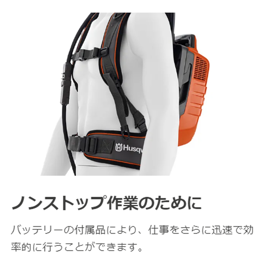 60baf8663c394d5c24b32b4b