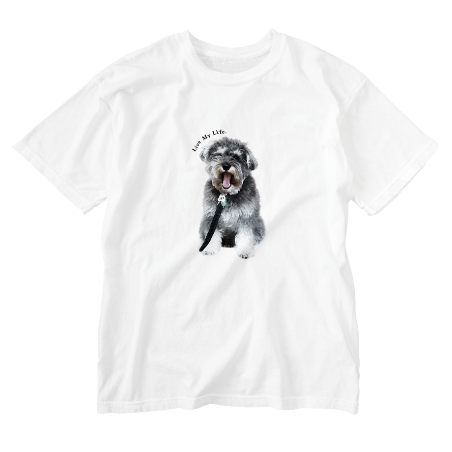 608fc180047a9d024028ff6c