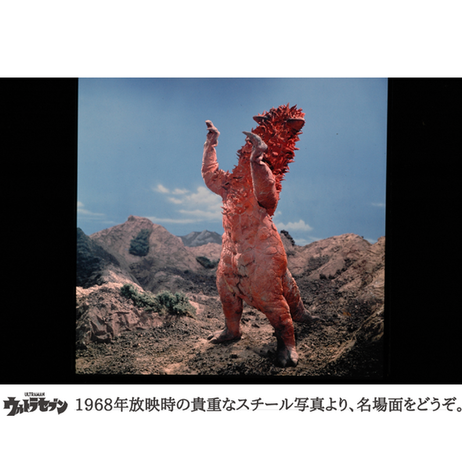 62e346935d05ec5f9ab5825c