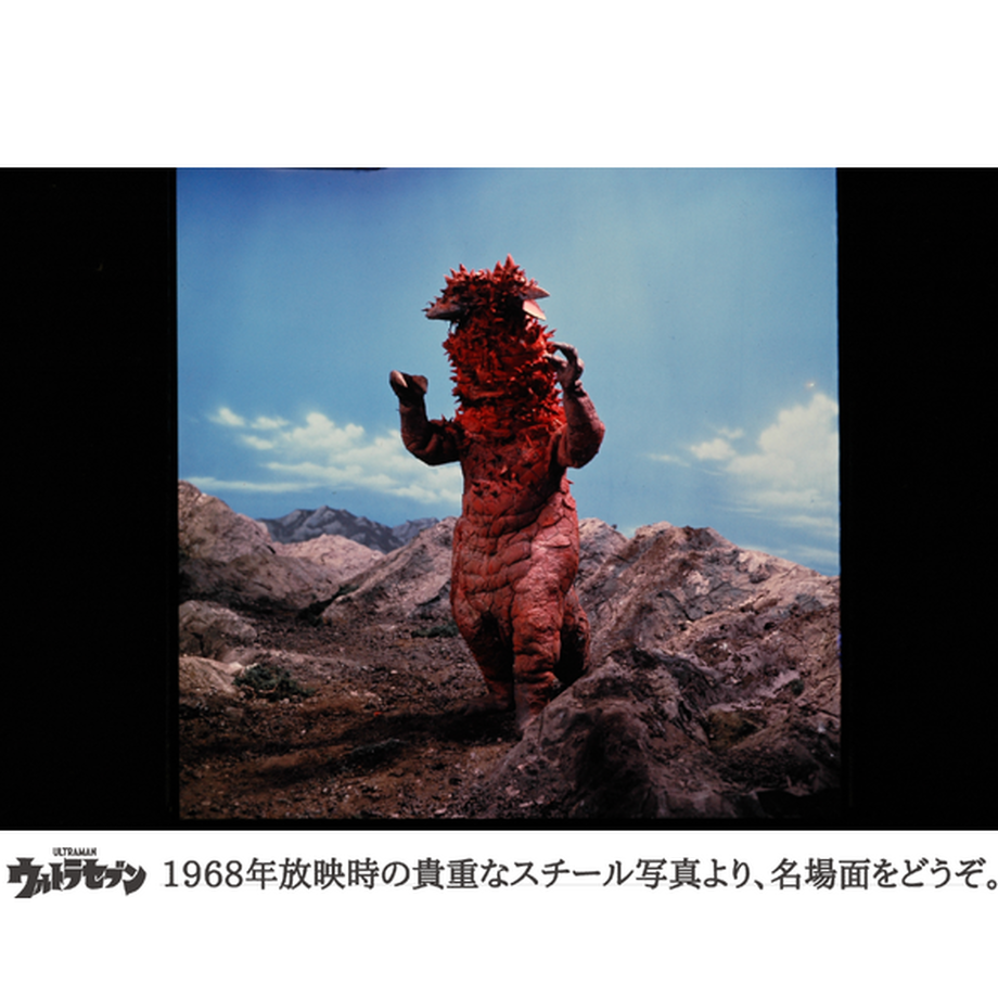62e346935d05ec5f9ab5825c