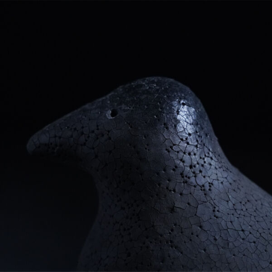 62b4081b97056555924b20c0