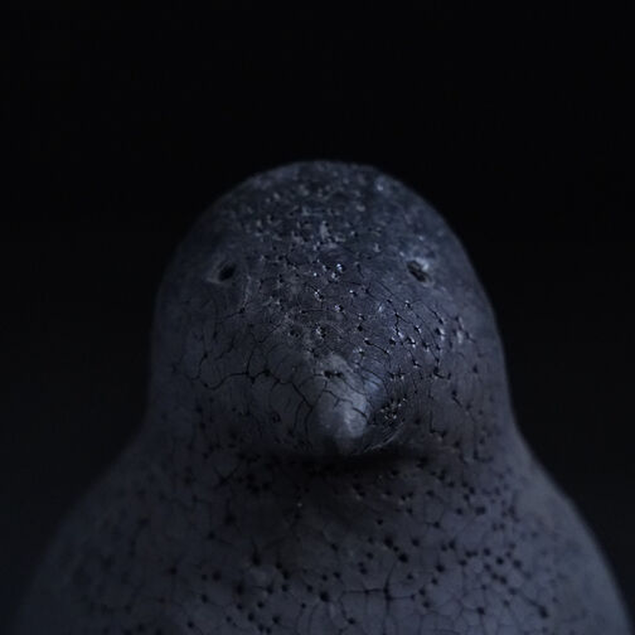 62b4081b97056555924b20c0