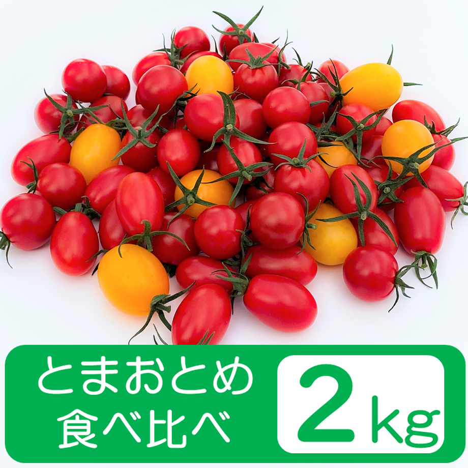 61303f6b8a457272fdb16e0a