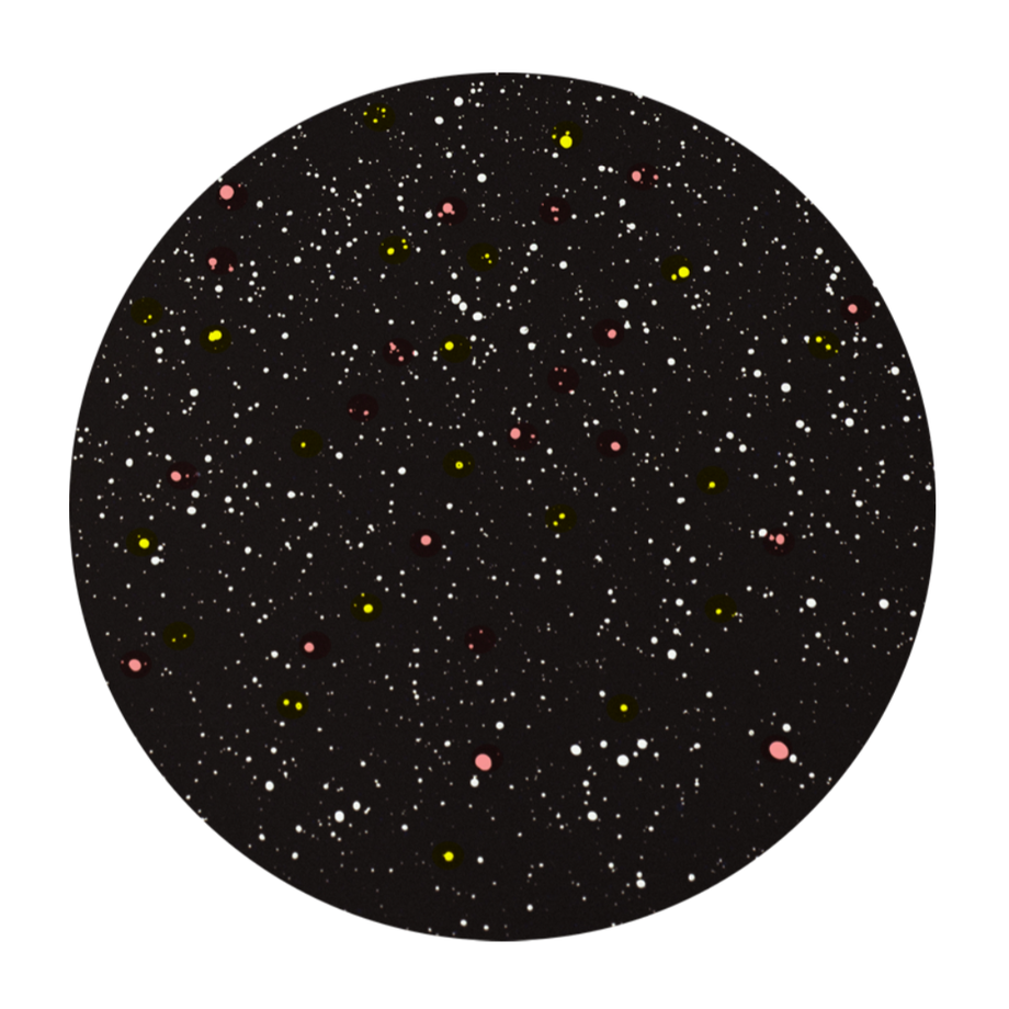 5f43c95eafaa9d28bf1a9226