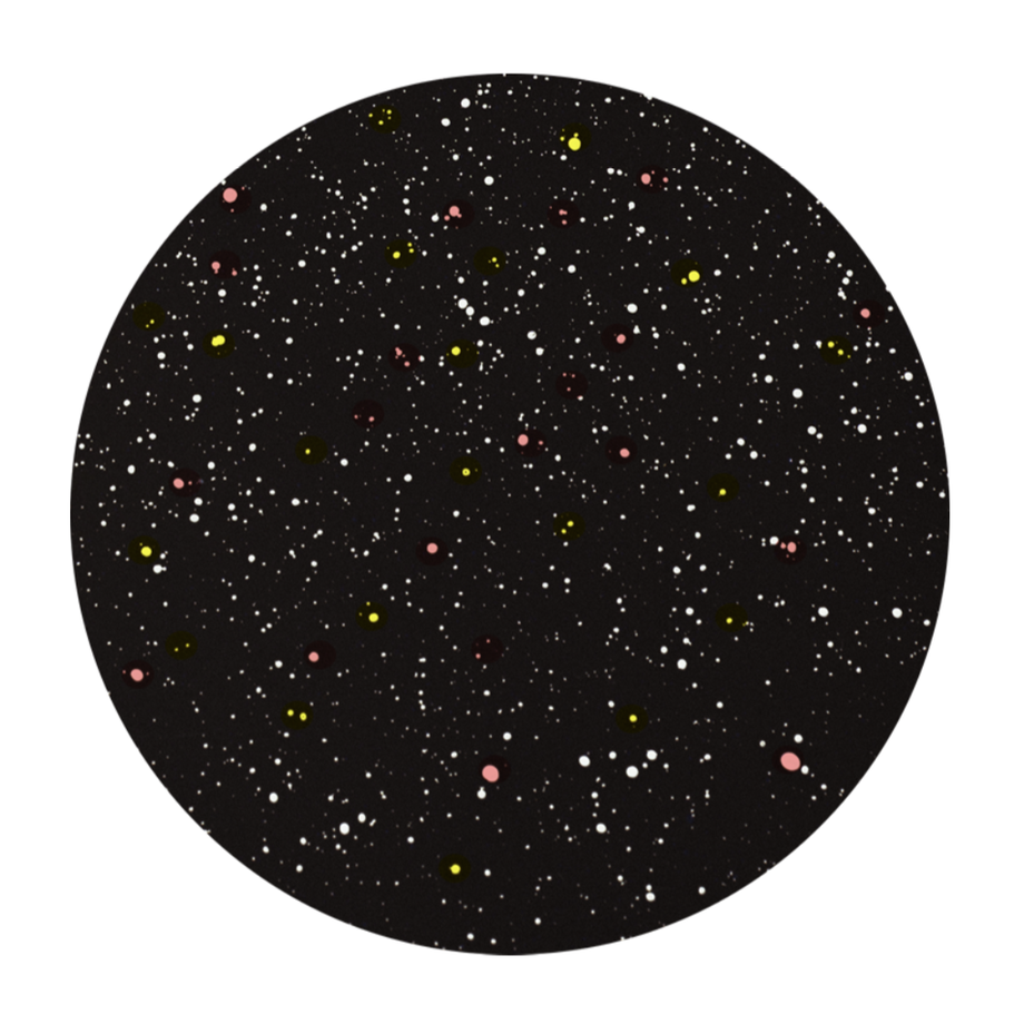5f447fd4223ead4208e7c2c8