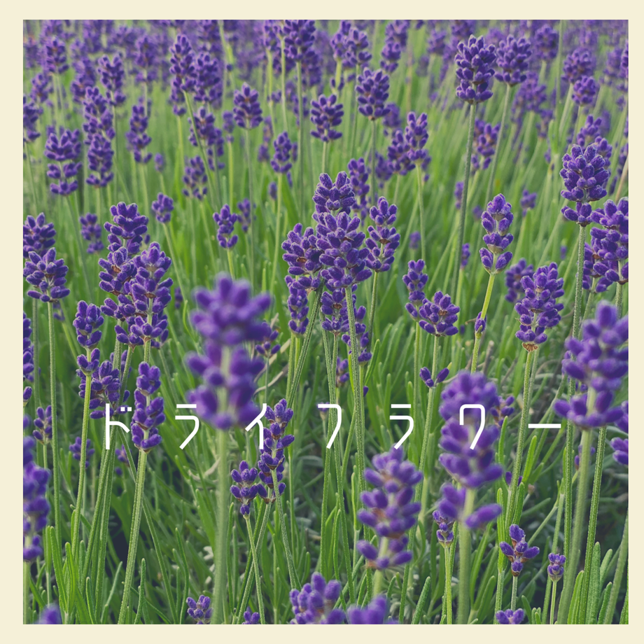 5ef1e9ffb5a4255fe523567b