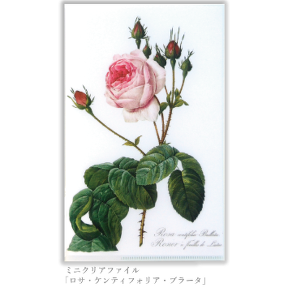 5efd801c6589fd64cb927ee2