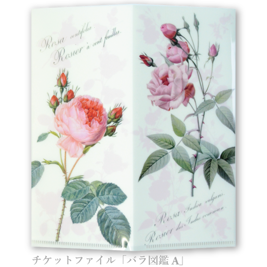 5efd801d6589fd64cb927ee9