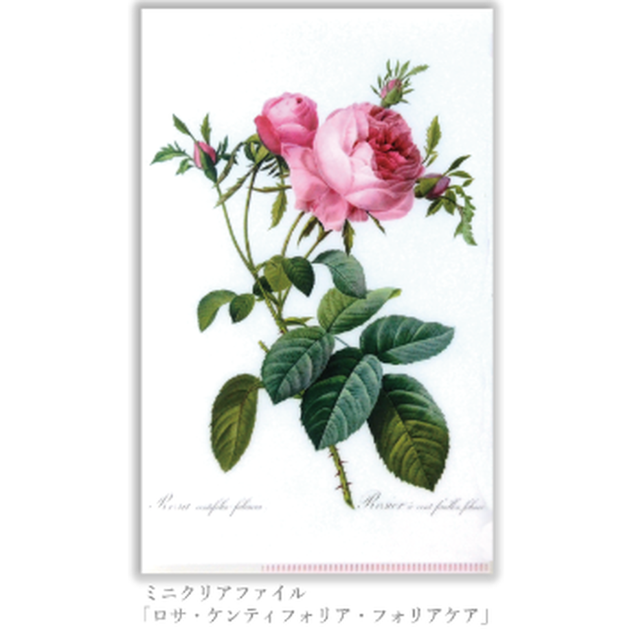 5efd801c6589fd64cb927ee2