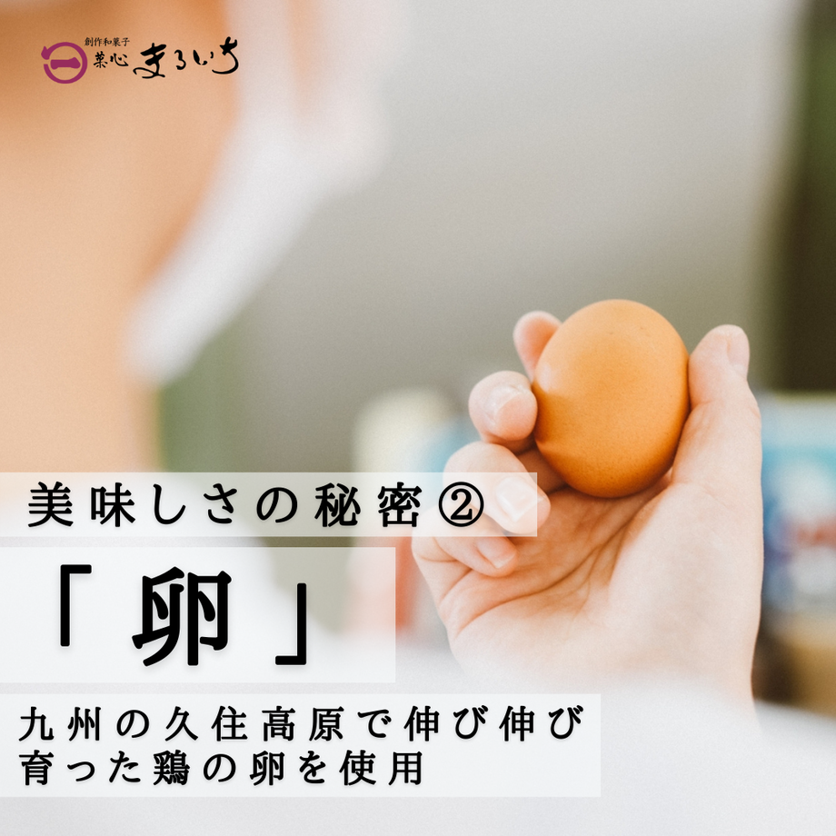 5ed5f51055fa037d69cf255e