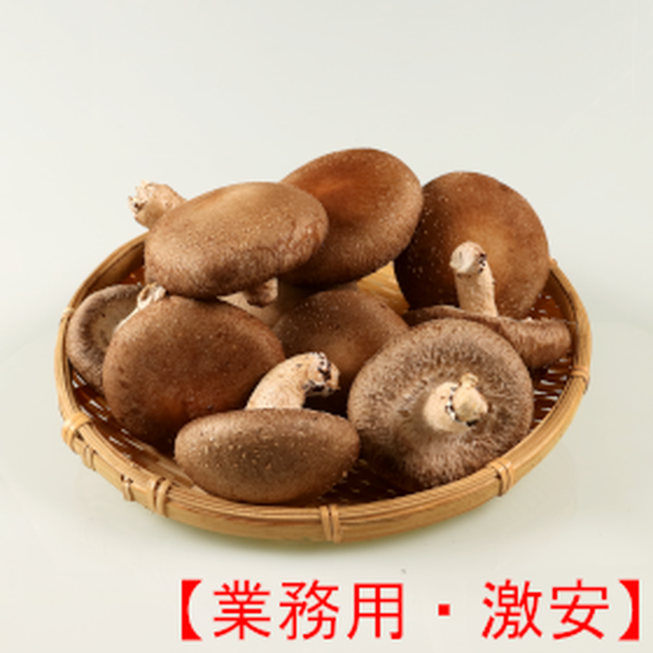 5f06bf64df62a92b0b17131f