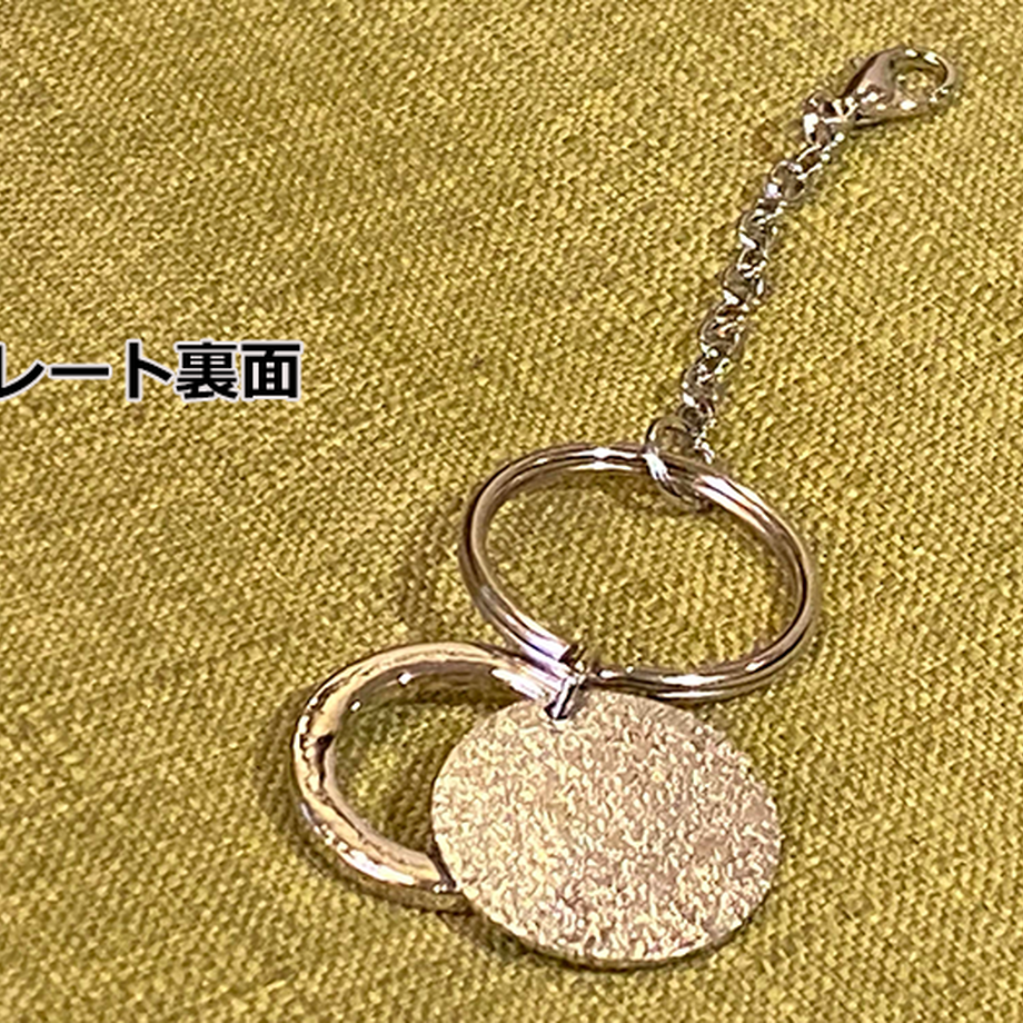 5fb914cc72eb460b463ed279