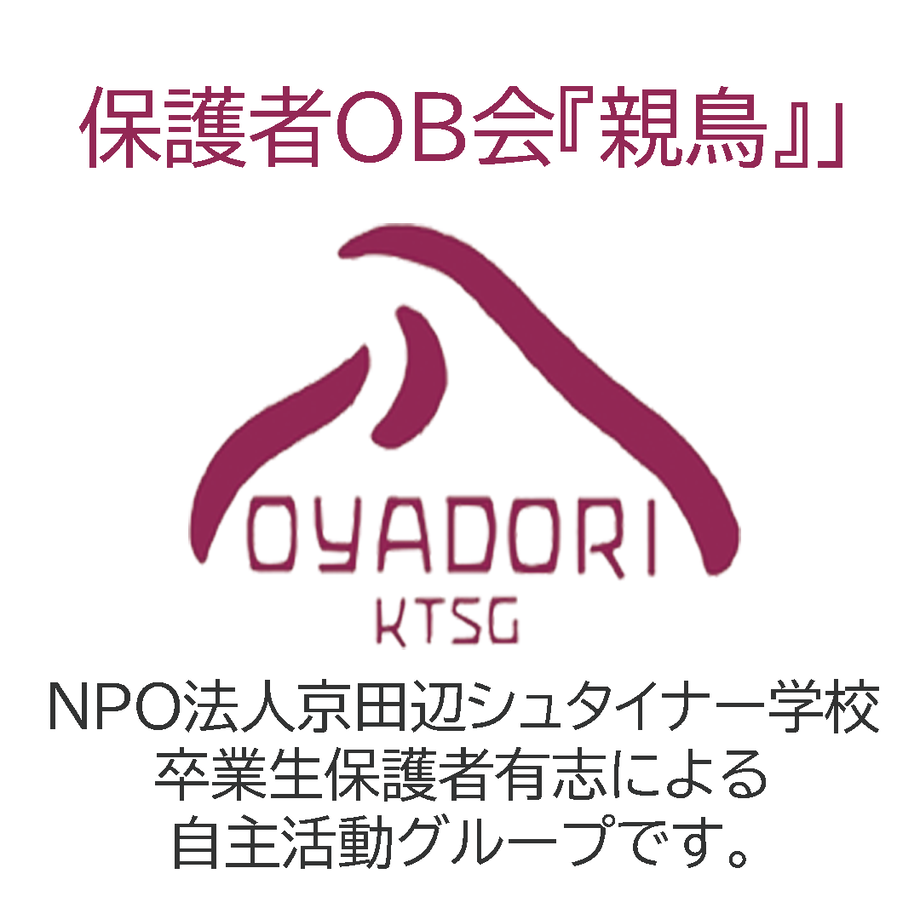 6207a16d47a53405c662a976