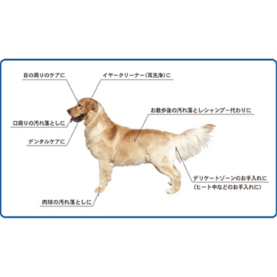 57afff0141f8e843970091ea