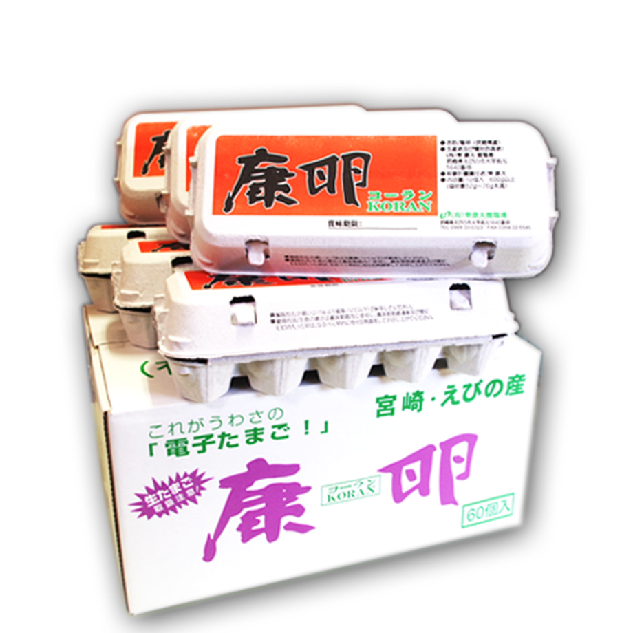 5c6a1f5fc2fc282a40648a67