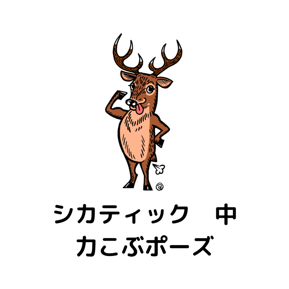 619f3e95b8979f5caec2cc14