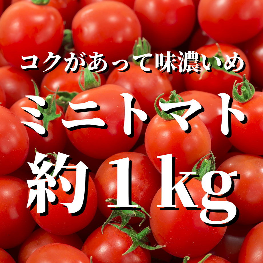 5e73b1eee20b0465035665af